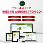 Dịch Vụ Thiết Kế Website Chuẩn SEO – Giao Diện Đẹp